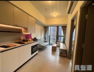 NOVO LAND 1A期 Elverum 2座 - 28NTS – 香港北部都會區