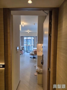 滙都 2期 滙都 II 6座 - 28NTS – 香港北部都會區