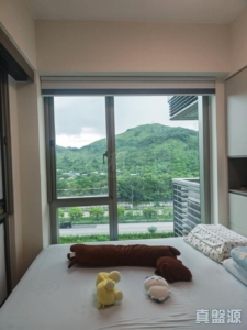 柏瓏 1A期 柏瓏 I 5座 - 28NTS – 香港北部都會區