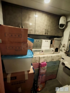 龍門居 14座 - 28NTS – 香港北部都會區