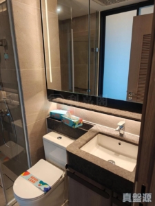 NOVO LAND 2B期 Arreso 2座 - 28NTS – 香港北部都會區