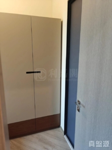 NOVO LAND 2B期 Arreso 2座 - 28NTS – 香港北部都會區