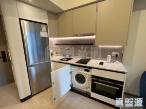 NOVO LAND 1B期 Bergen 3座 - 28NTS – 香港北部都會區