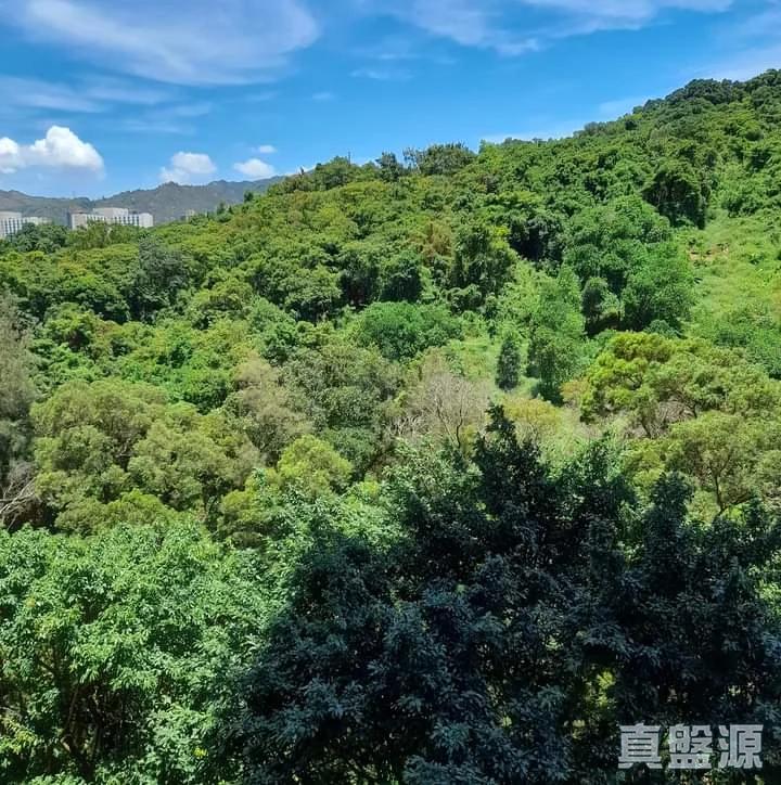 新圍苑 新奐閣 (E座) - 28NTS – 香港北部都會區