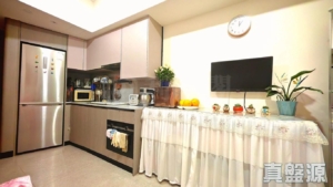 NOVO LAND 3B期 Fiskars 2B座 - 28NTS – 香港北部都會區