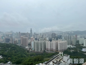 朗逸峰 1期 5座 - 28NTS – 香港北部都會區