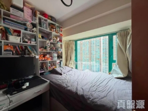 翠擁華庭 12座 - 28NTS – 香港北部都會區