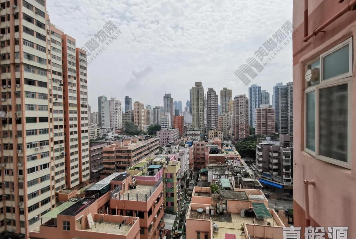 好彩洋樓 - 28NTS – 香港北部都會區