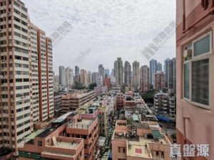 好彩洋樓 - 28NTS – 香港北部都會區