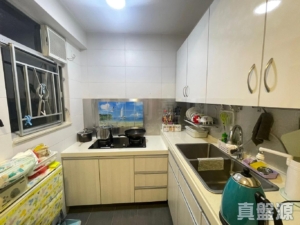 麗城花園 3期 4座 - 28NTS – 香港北部都會區
