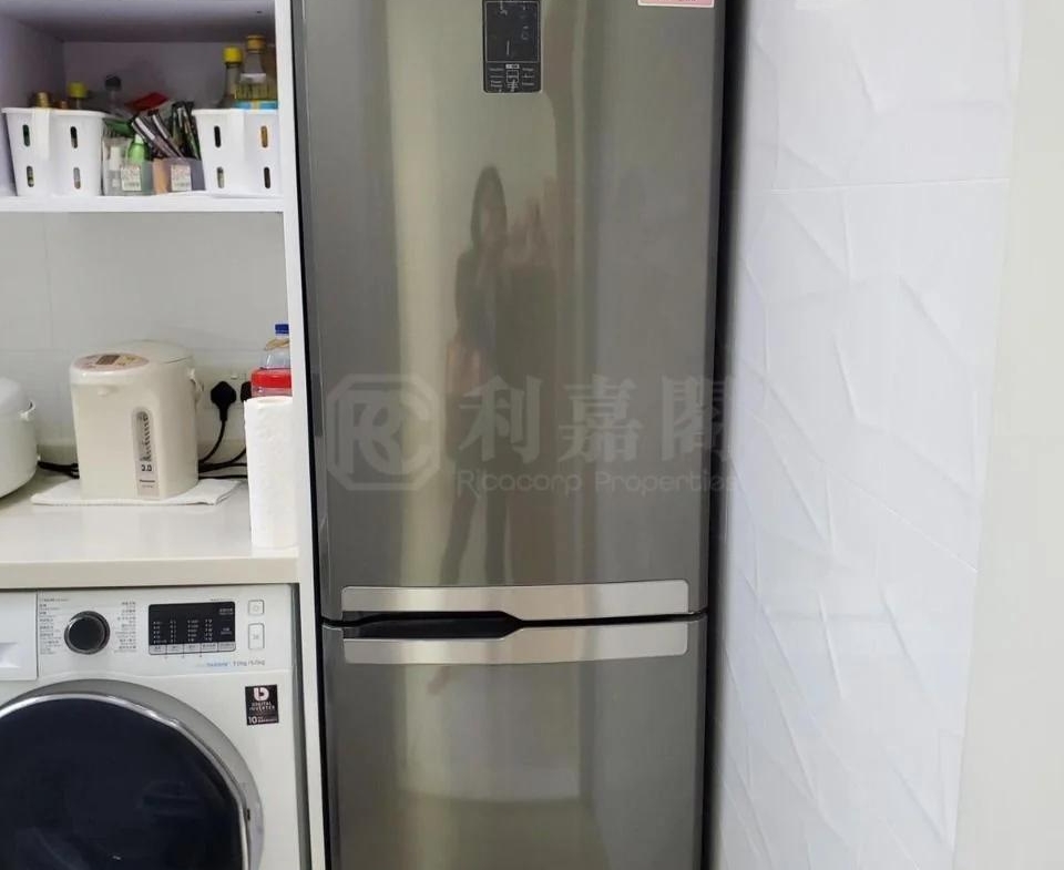 藍天海岸 4期 水藍‧天岸 2座 - 28NTS – 香港北部都會區
