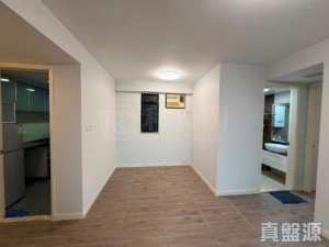 新元朗中心 2座 - 28NTS – 香港北部都會區