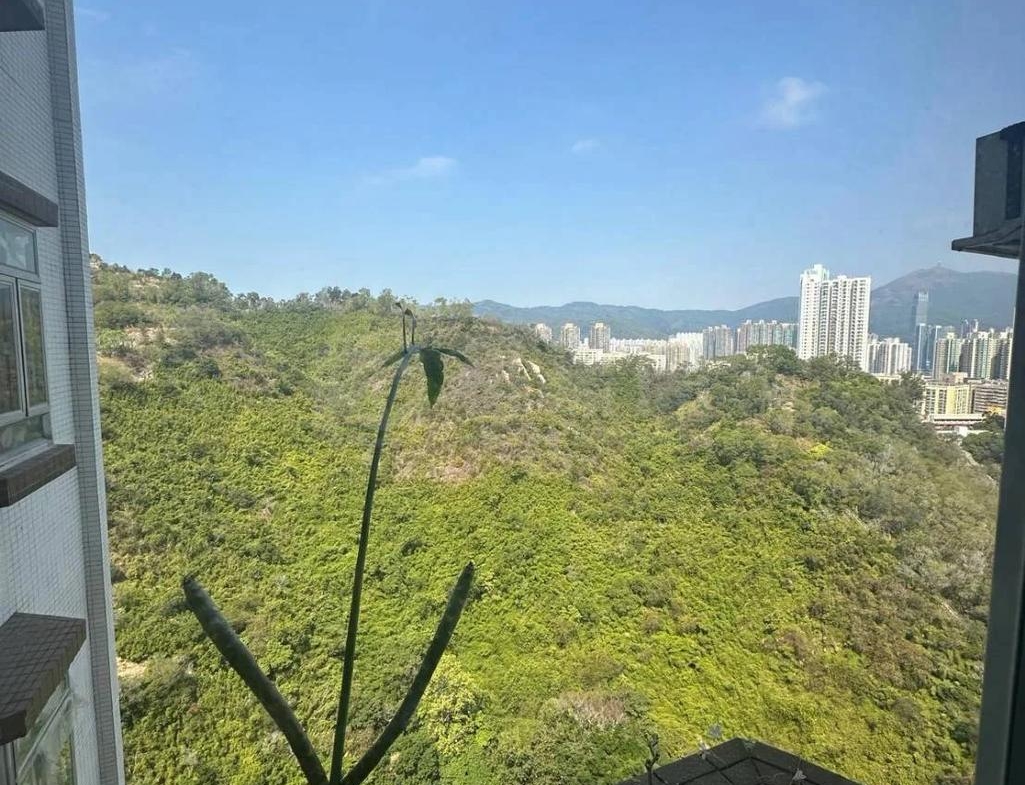 美景花園 11座 - 28NTS – 香港北部都會區