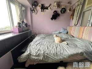 美景花園 11座 - 28NTS – 香港北部都會區