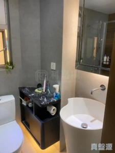 環宇海灣 1座 - 28NTS – 香港北部都會區