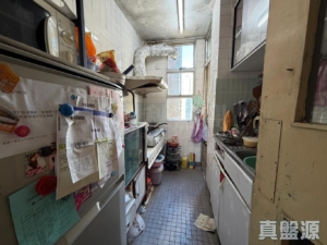 青泰苑 寶泰閣 (B座) - 28NTS – 香港北部都會區