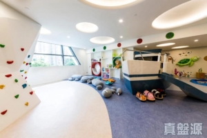 柏傲灣 1B座 - 28NTS – 香港北部都會區