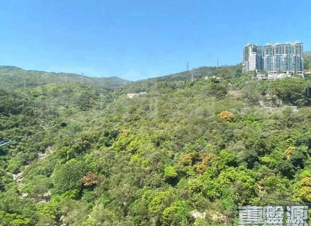 荃灣中心 太原樓 (17座) - 28NTS – 香港北部都會區