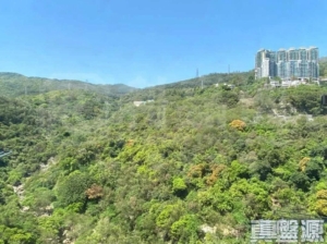 荃灣中心 太原樓 (17座) - 28NTS – 香港北部都會區