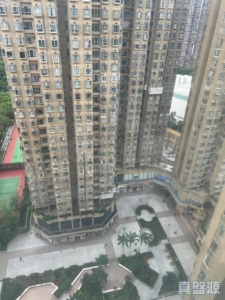 青怡花園 3座 - 28NTS – 香港北部都會區