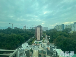 愛琴灣 多層大廈 - 28NTS – 香港北部都會區