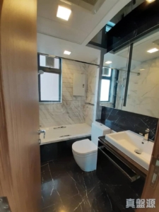 GRAND YOHO 1期 2座 - 28NTS – 香港北部都會區
