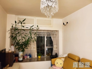 愉景新城 2期 8座 - 28NTS – 香港北部都會區