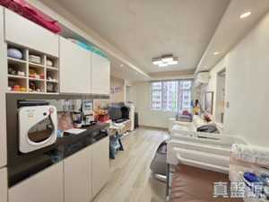 荃灣中心 天津樓 (8座) - 28NTS – 香港北部都會區