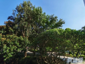 瑜翠園 3座 - 28NTS – 香港北部都會區