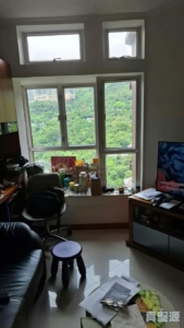 愉景新城 2期 8座 - 28NTS – 香港北部都會區