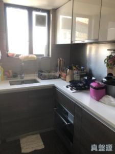 溱柏 9座 - 28NTS – 香港北部都會區