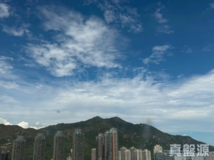 山景邨 景華樓 (4座) - 28NTS – 香港北部都會區