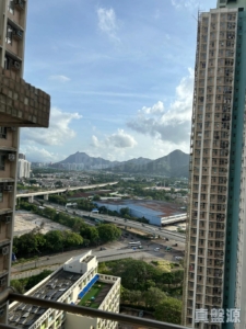 天盛苑 盛頤閣 (C座) - 28NTS – 香港北部都會區