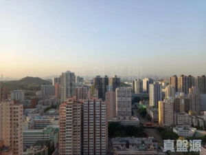 怡豐花園 B座 - 28NTS – 香港北部都會區