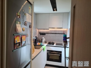 NOVO LAND 1A期 Elverum 1座 - 28NTS – 香港北部都會區