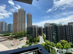WETLAND SEASONS PARK 2期 11座 - 28NTS – 香港北部都會區