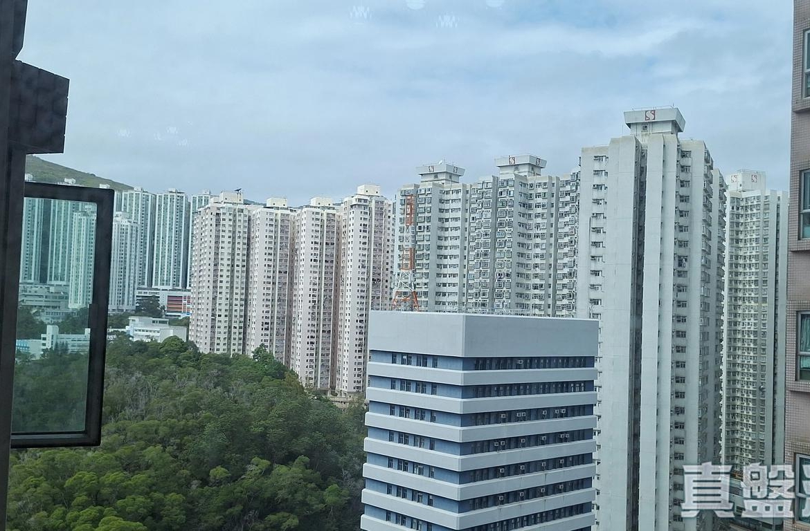 愉景新城 1期 1座 - 28NTS – 香港北部都會區