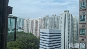 愉景新城 1期 1座 - 28NTS – 香港北部都會區