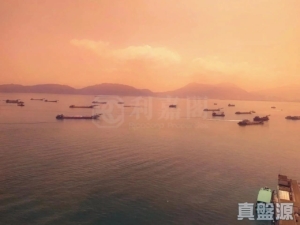 海翠花園 3座 - 28NTS – 香港北部都會區