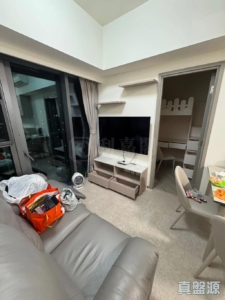 NOVO LAND 3B期 Fiskars 2B座 - 28NTS – 香港北部都會區