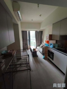 NOVO LAND 1B期 Bergen 2座 - 28NTS – 香港北部都會區