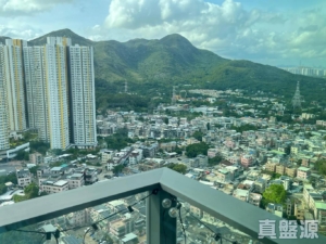 NOVO LAND 1A期 Elverum 2座 - 28NTS – 香港北部都會區