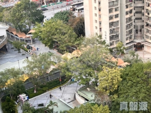 天愛苑 愛濤閣 (B座) - 28NTS – 香港北部都會區