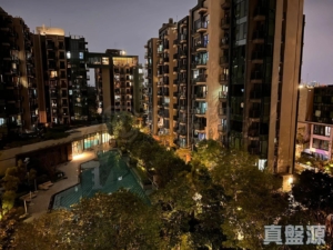WETLAND SEASONS PARK 1期 16座 - 28NTS – 香港北部都會區