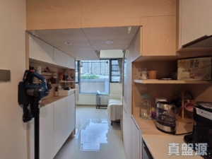 映日灣 3座 - 28NTS – 香港北部都會區