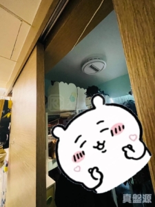 峻巒 1C期 PARK YOHO SICILIA 1A座 - 28NTS – 香港北部都會區