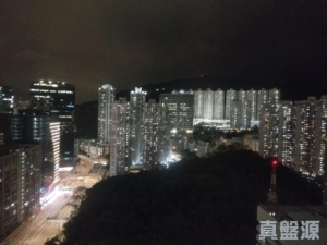 愉景新城 1期 2座 - 28NTS – 香港北部都會區