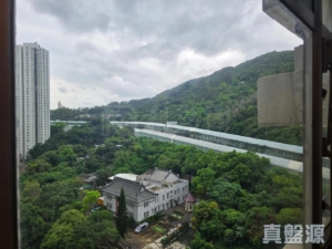 麗城花園 1期 1座 - 28NTS – 香港北部都會區