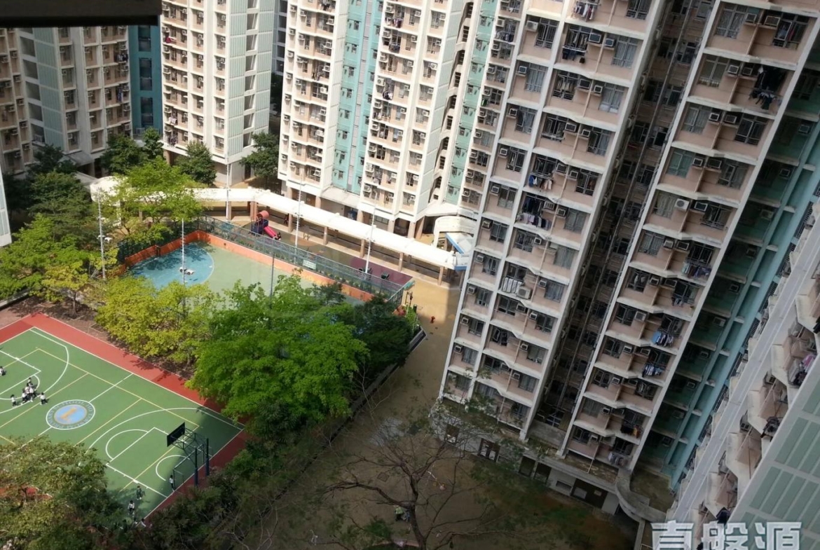 天盛苑 盛頤閣 (C座) - 28NTS – 香港北部都會區