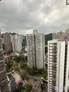 偉景花園 2座 - 28NTS – 香港北部都會區